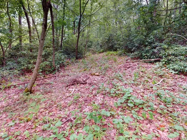103 Redwood Dr, Terra Alta, WV 26764