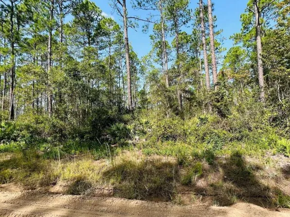 Mount Pleasant Rd, Jesup, GA 31546