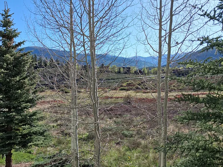 1099 Royal Coachman Blvd — Photo 4