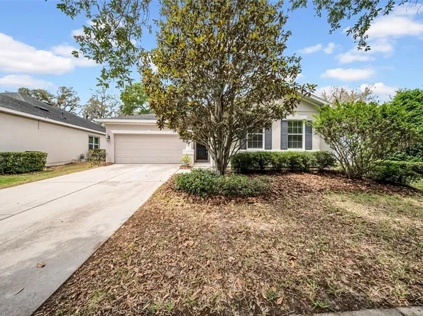 15810 Starling Water Dr, Lithia, FL 33547