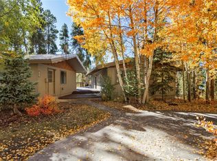 107 N Pine St, Breckenridge, CO 80424