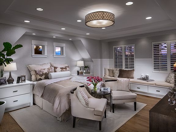 Primary bedroom suite with tray ceiling