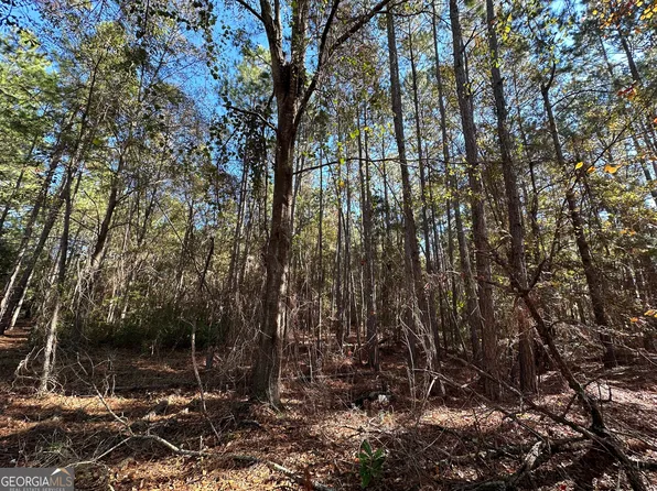 LOT 22 Cochran Hwy, Eastman, GA 31023