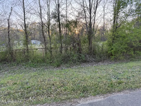 7205 Whitten Place Dr, Olive Branch, MS 38654