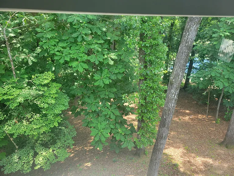 3932 Shoemaker Ct — Photo 17