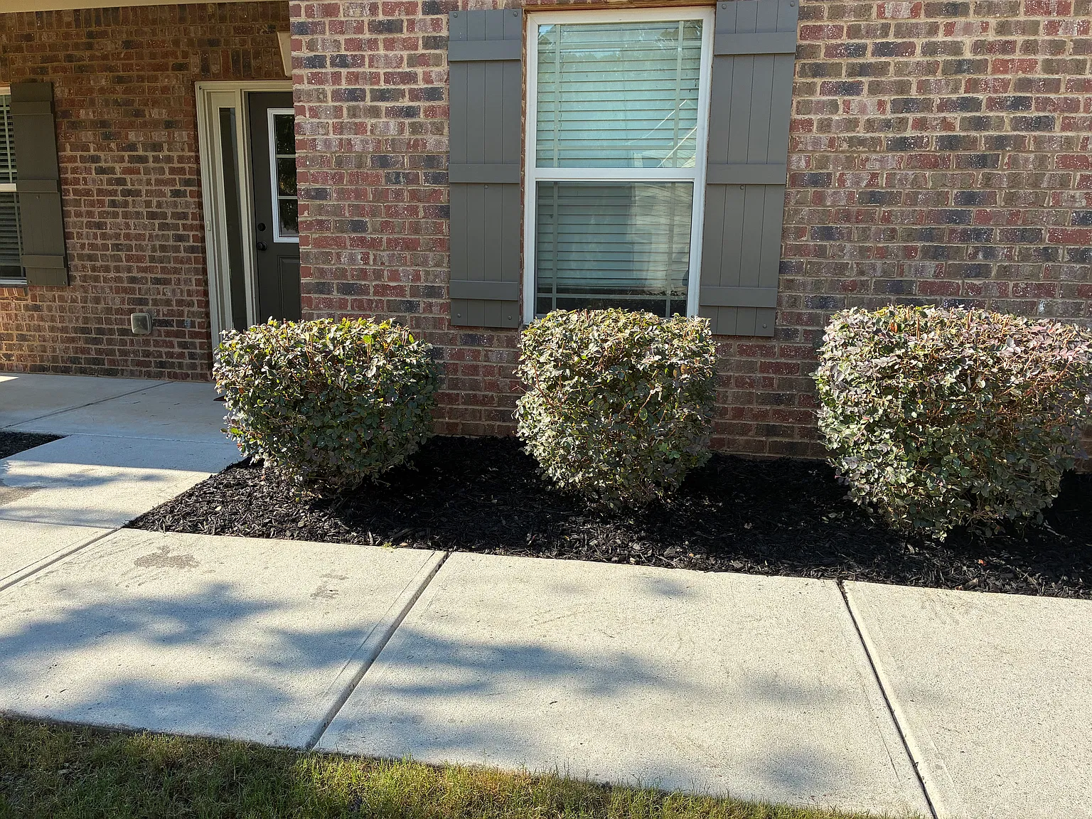 4 bed, 2.5 bath, 2826 sqft, $2,495 — Photo 3