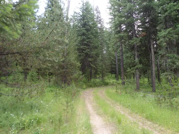 0 Akers Butte Rd, Wallowa, OR 97885