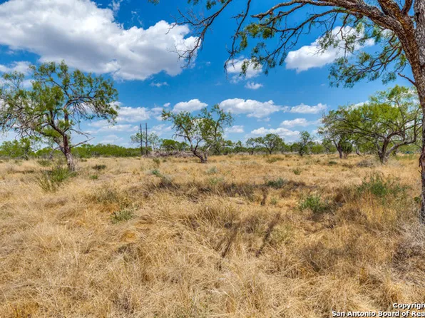 283 Riley Ln LOT SENDE, Charlotte, TX 78011