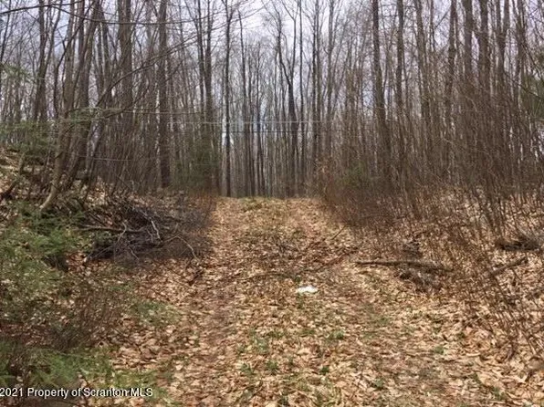 S Turnpike Rd, Newfoundland, PA 18445