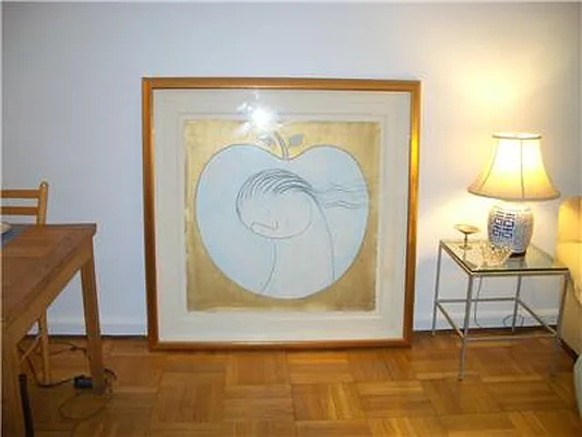Rented by Brown Harris Stevens | media 2