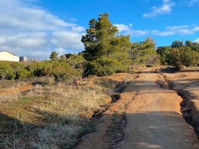 35030 Hilltop Ter, Agua Dulce, CA, 91390