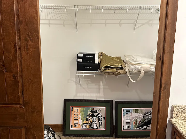 Primary Walk-in closet