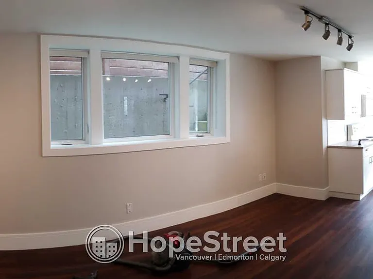 339 W 21st St #BASEMENT — Photo 5
