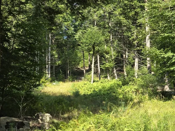 0 Magee Rd, Stamford, VT 05352