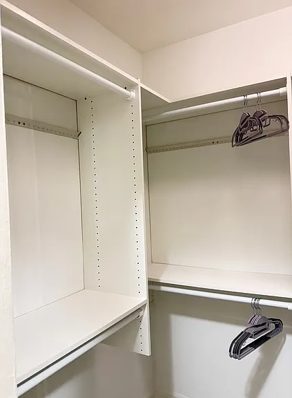 Main Closet organizer