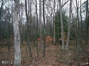 1st image of Deer Trail Lane Block Lot 38-5