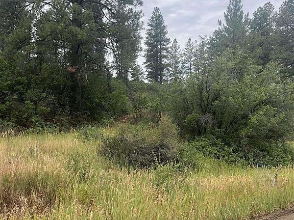 4th image of 181 River Run Dr