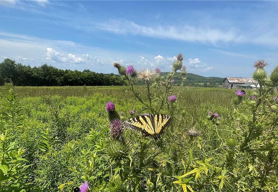 1st image of Beechwoods Road