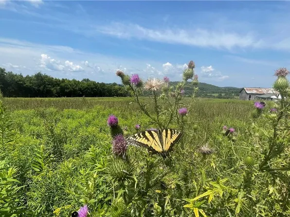 Beechwoods Road, Callicoon, NY 12723