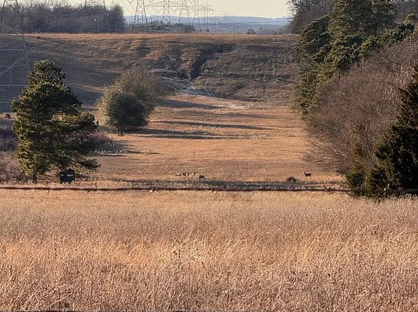 County Road 4520, Larue, TX 75770