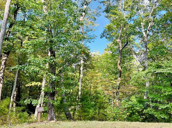 LOT 162 Trailwood Dr, Ellijay, GA 30536