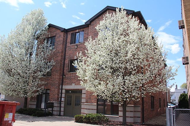 1st image of 3126 Oak Park Ave Unit 3N