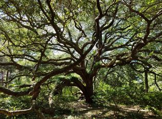 6517 Foxfire Rd, Wadmalaw Island, SC 29487