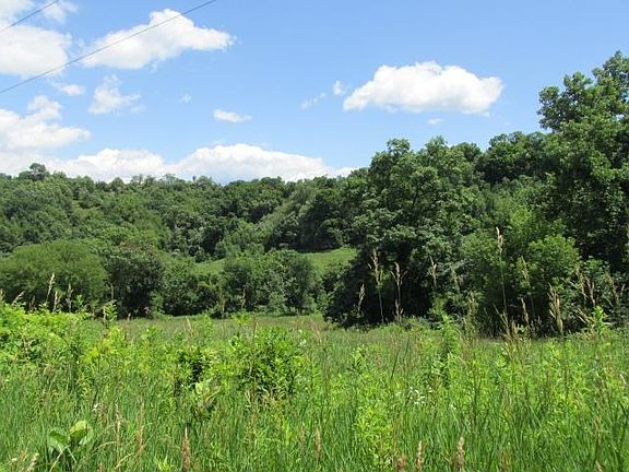 3rd image of 0 Joe Miller Ln