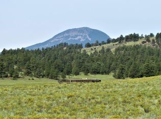 170 Badger Ln, Guffey, CO 80820