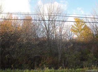 Vl Boston Colden, Boston, NY 14025