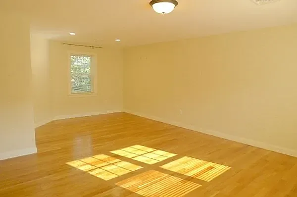 299 Cabot St #2 — Photo 11