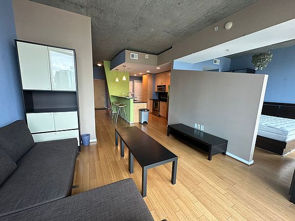 Living room with pull out sofa bed