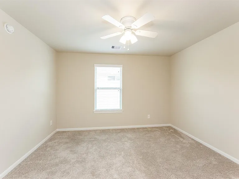 16915 Sedum Grn — Photo 24