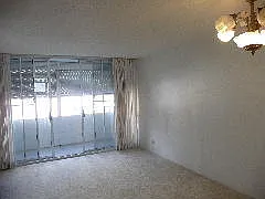 780 Amana St — Photo 4