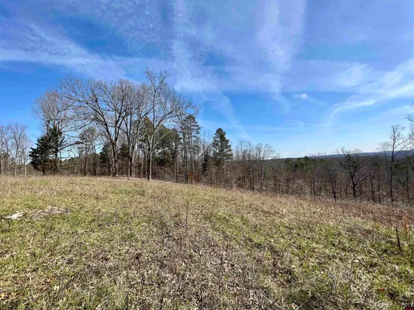 4 Ramblewood Trl, Yellville, AR 72687