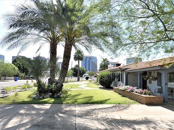 Front Yard City View