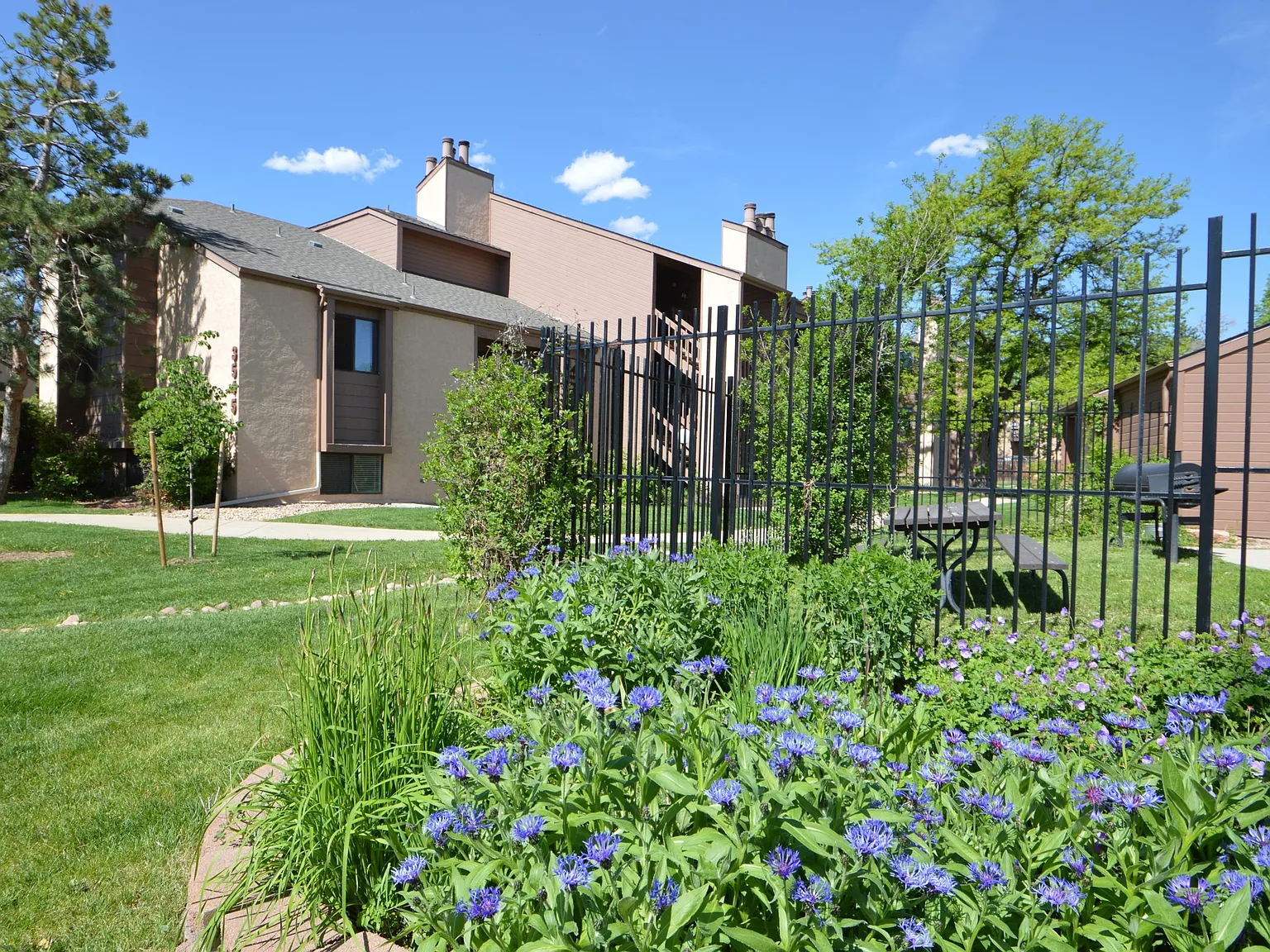 2 bed, 890 sqft, $1,995 — Photo 2