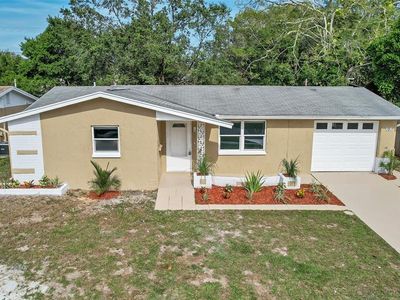 5913 Appletree Rd, Holiday, FL, 34690