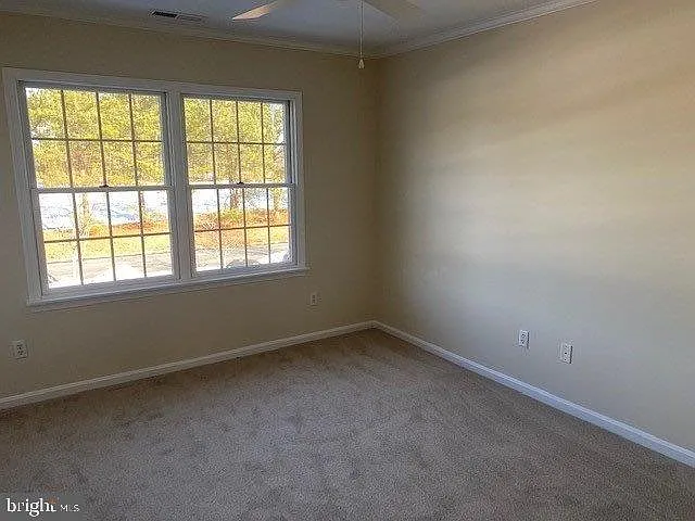 7424 Tour Dr — Photo 10