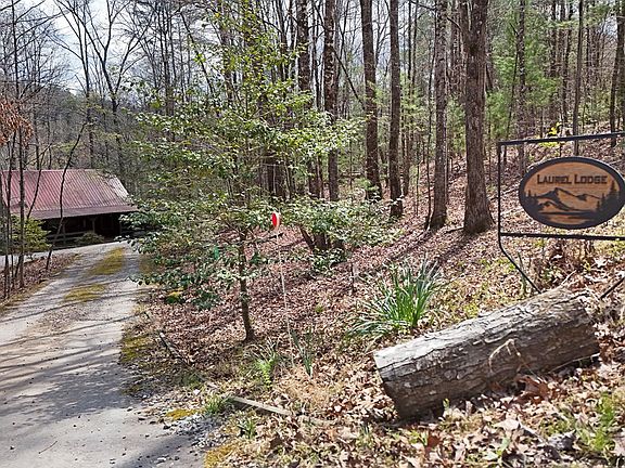 3rd image of 545 Laurel Cir