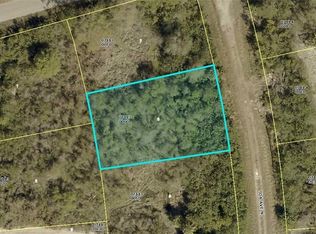 2605 Ida Ave N, Lehigh Acres, FL 33971