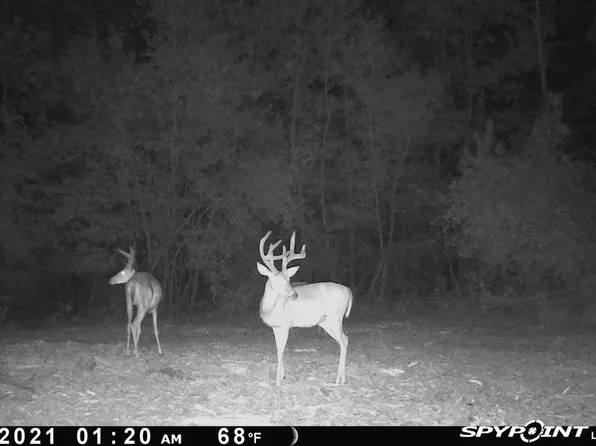 686 Private Road 5102, Kennard, TX 75847