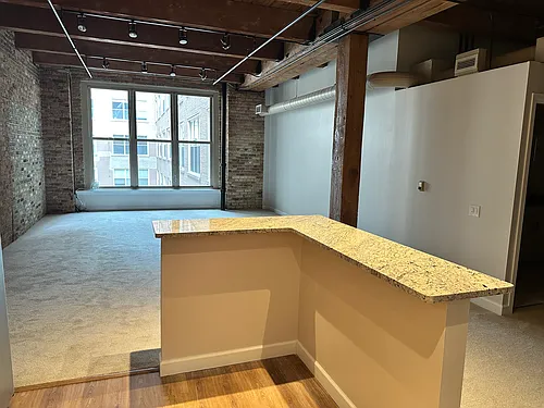 540 N Lake Shore Dr #518 Photo 1