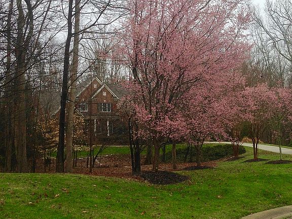 Spring time