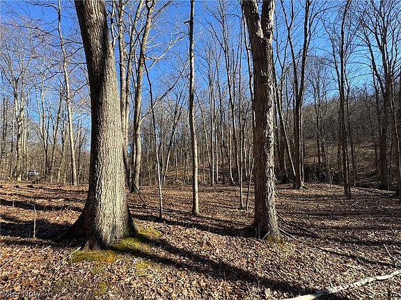 5th image of 50001 Mellott Rd