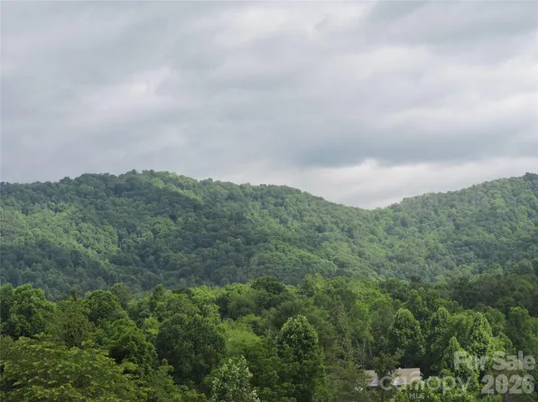 60 Gins Ln Lot 11, Mars Hill, NC 28754
