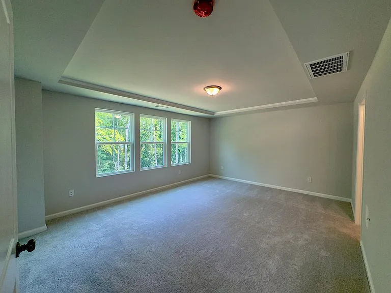 319 Aster Bloom Ln — Photo 9