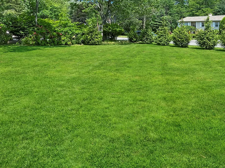 204 Deerfield Ln — Photo 30