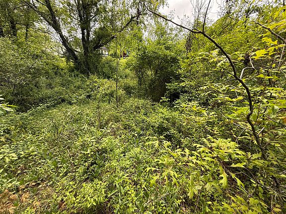 3rd image of 9999 Springs Branch Dr