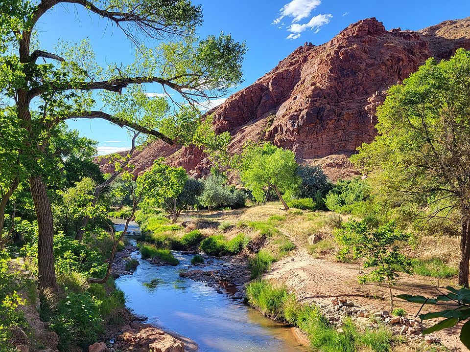 1389 Meg，purpureorhais'Ainakika' (OG)メガクリウム、プルプレオラキス Mukhlis Nur (Sinlaire) - Phantasmagorical Planetaria